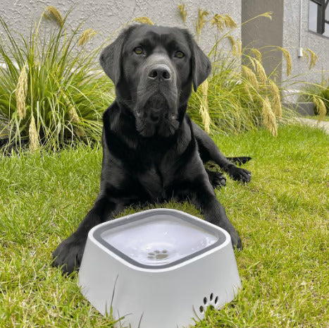 HydroBowl – Bebedero Antisalpicaduras para Mascotas
